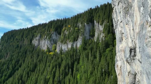 Steep cliffs in Carpathian Mountains, Romania ,in winter Stock-Footage 293708879