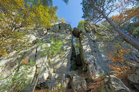 Steep Cliffs Hidden in the Forest Stock Photos