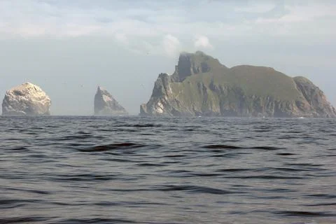 Steep cliffs of St Kilda. The Saint Kilda archipelago contains the largest co Stock Photos