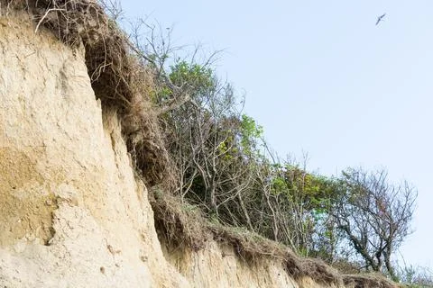 The steep coast between Wustrow and Ahrenshoop Stock Photos