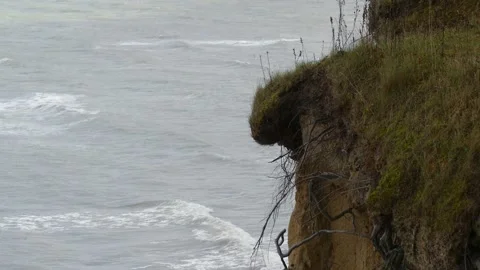 Steep coast with ocean waves, grass and roots - close up view Stock Footage 143589602