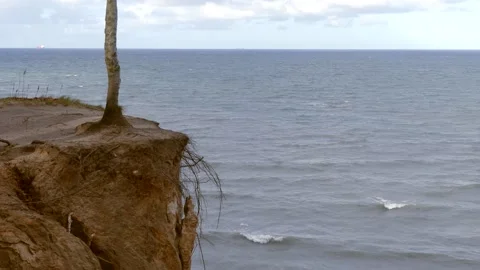 Steep coast with a tree - view of the ocean waves and the horizon Stock Footage 143588192