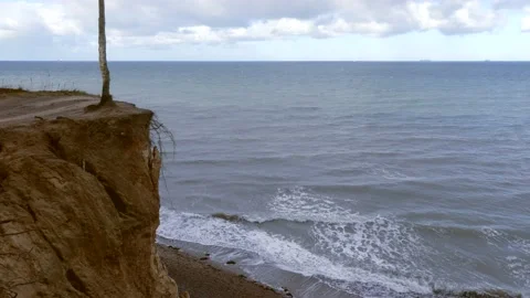 Steep coast with a tree - view of the ocean waves, beach and the horizon Stock Footage 143588235