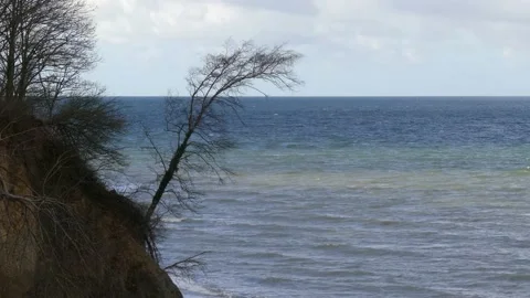 Steep coast with trees - view of the ocean waves and the horizon Stock Footage 143590394