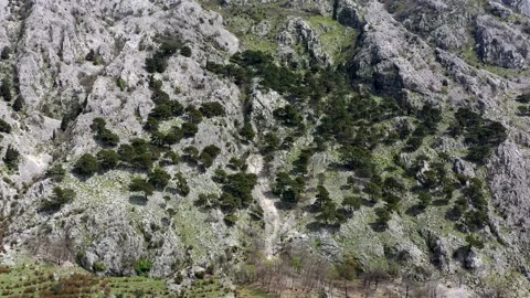 Steep dolomite cliff overgrown with trees near Kotor, Montenegro Stock Footage 153667108