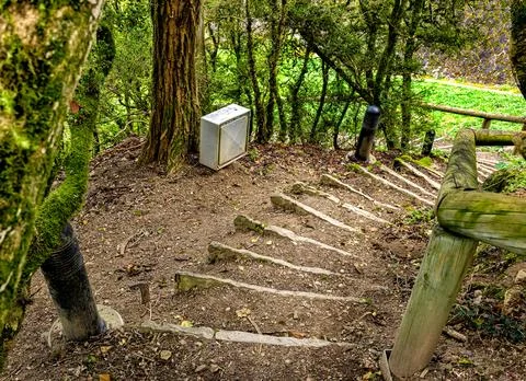 Steep earthen forest staircase with rustic wooden log handrails 库存照片
