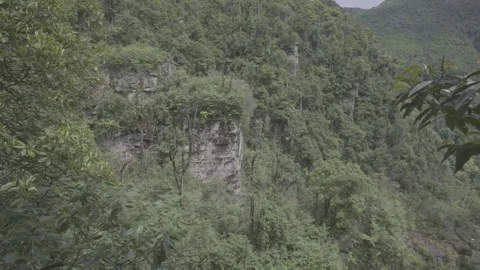 Steep Forested Cliff and Valley Stock-Footage 343557890