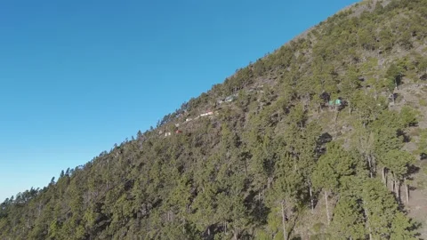 Steep forested hillside with scattered trees and cabins, set against a bright Stock Footage 296266898