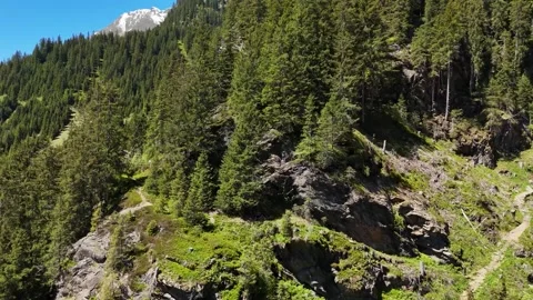Steep Forested Mountain Slope in Bright Daylight Stock Footage 343340630