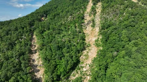 A steep forested mountain slope with exposed rock and landslide scars. Stock Footage 346360632