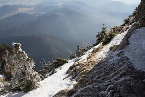 Steep forested snow covered alpine slope Stock Photos