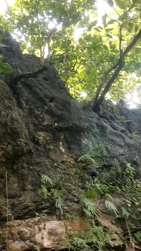 Steep Green Cliff Stock Footage 329919160