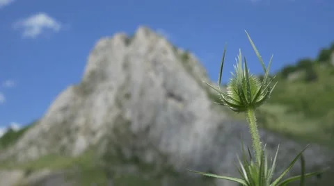 Steep High Cliff Stock Footage 52213752