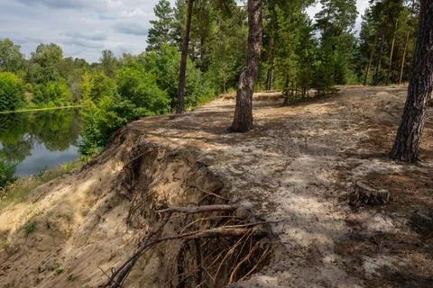 Steep, high sandy cliff with pine trees and lush greenery above the river Stock Photos