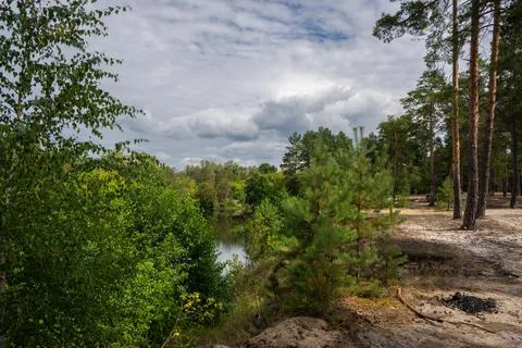 Steep, high sandy cliff with pine trees and lush greenery above the river Stock Photos