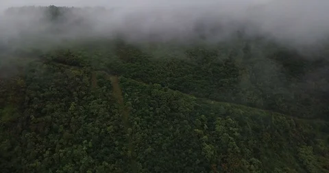 STEEP JUNGLE ROAD ARIAL Stock Footage 127886378