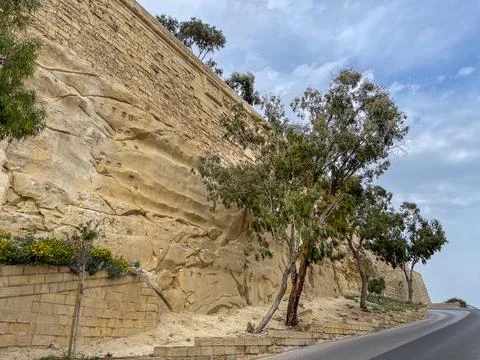 Steep limestone cliff with eucalyptus trees and a curving road under a brig.. Stock-Fotos