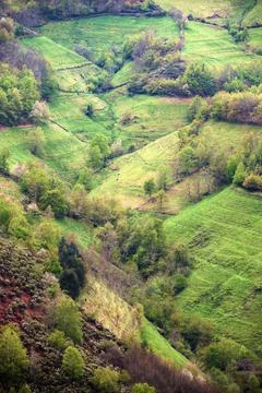 Steep meadows in a declivitous valley Stock Photos