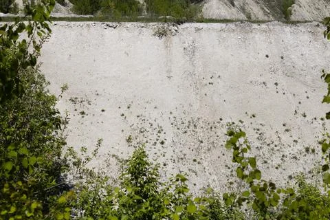 Steep mountain covered with trees Stock Photos