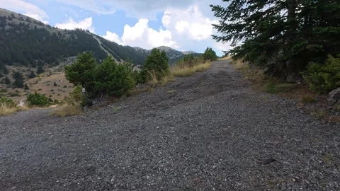 Steep Mountain Dirt Road Through Alpine Fir Forest Under Cloudy Rainy Sky Vídeo Stock 327560439