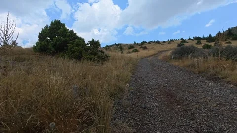 Steep Mountain Track Through Untouched Alpine Plain With Fir Trees And Grasses Stock Footage 327669900