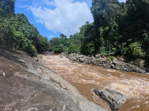 Steep objects in the interior of Kalimantan Stock Photos