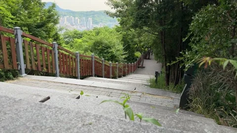 Steep Park Stairway Through Forest Toward Distant City and Mountains 库存影片 342611627