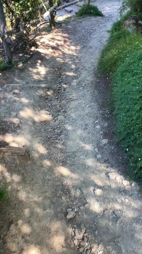 A steep path in the woods. Vertical video Stock Footage 286858537