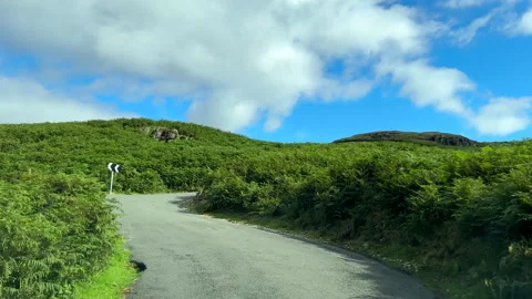 Steep road with sharp bends and poor visibility amidst dense fern vegetation. Vídeos de archivo 272143403
