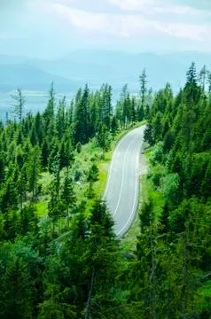 Steep Road Through Forest Mountain Stock Photos