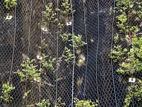 Steep rock face stabilized with mesh and planted vegetation Stock Photos
