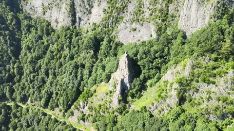 Steep rock in forest on cliff Stock Footage 250559635