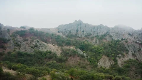 A steep rock overgrown with trees. Overcast weather. Crimea, Ai-Petri. Drone Stock Footage 223047965