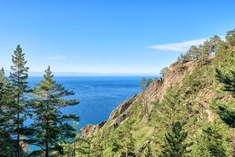 Steep rocks covered with pine forest Stock Photos