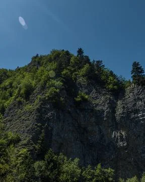 Steep Rocky Cliff Covered with Forest Under Blue Summer Sky 库存照片
