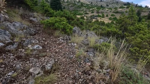 Steep Rocky Hiking Path Inside Wild Alpine Fir Forest on Cloudy Rainy Autumn Day Stock Footage 327560544