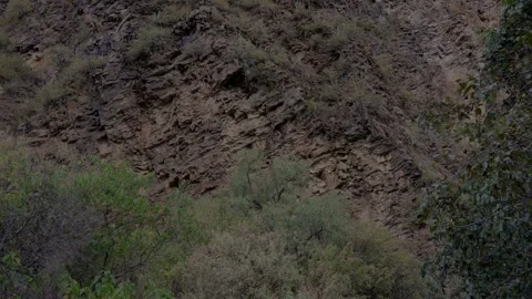 Steep rocky mountain cliff with sparse green vegetation Vídeo Stock 340149297