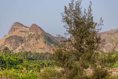 Steep rugged hillside with sparse vegetation overlooking dense palm trees of Foto stock