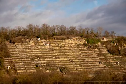 Steep slopes at the vineyard at the river Neckar Stock Photos