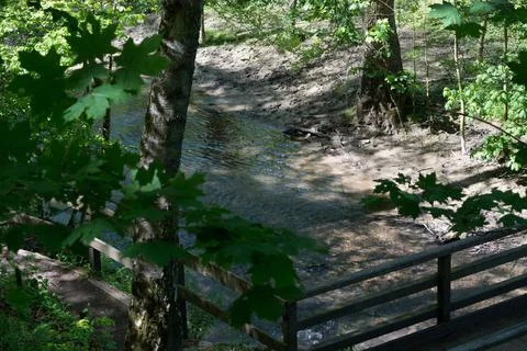 Steep stairs to the forest Stock Photos