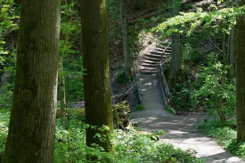 Steep stairs to the forest Stock Photos