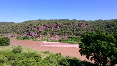 Steep tree-lined banks of a river in KwaZulu-Natal Stock Footage 161804625