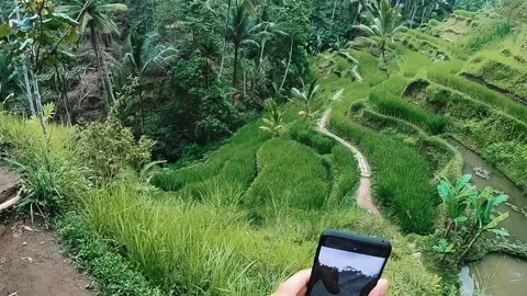 Steep tropical hillside path with earthen steps, bamboo rail, dense grasses Stock Footage 338445062