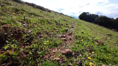 Steep Uphill Path with Stones and Blooming Flowers in Nature Stock Footage 303489810