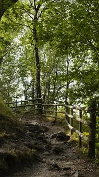 Steep vertical dirt hiking path winding uphill with a rustic wooden safety fe Stock Photos