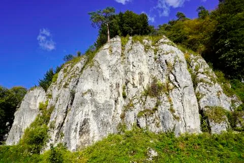 Steep white cliffs with trees, hilly forest area in autumn. yellow leaves on  Stock Photos