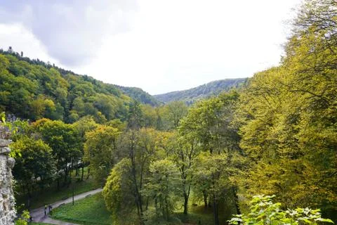 Steep white cliffs with trees, hilly forest area in autumn. yellow leaves on  Stock Photos