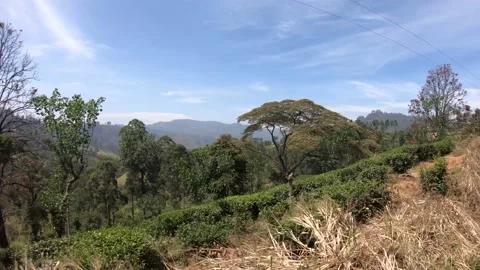 Steep woes seen from the train to Ella, Sri Lanka Stock Footage 197055449