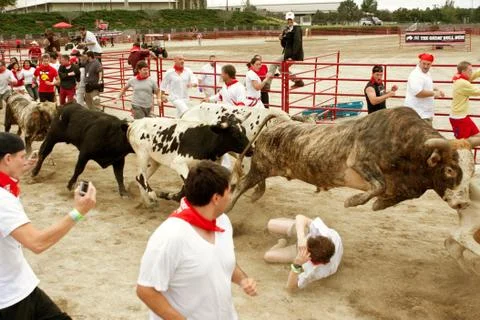 Steer leaps over man trampled in georgia bull run Stock Photos