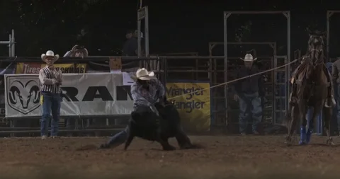 Steer Wrestling 4K Video stock 123270366